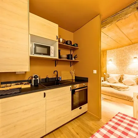 L'appart - Sauna - Hypercentre - Ambiance Montagne 公寓 *